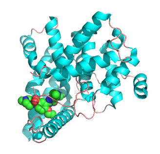 PDE5 viagra inhibítor