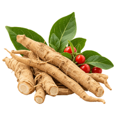 Ashwagandha root