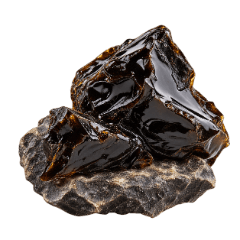 Resina di shilajit