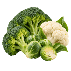 Verdure crucifere